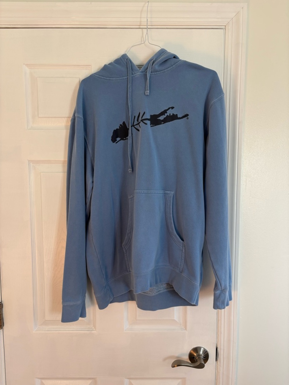 Men’s Carleton Hoodie
